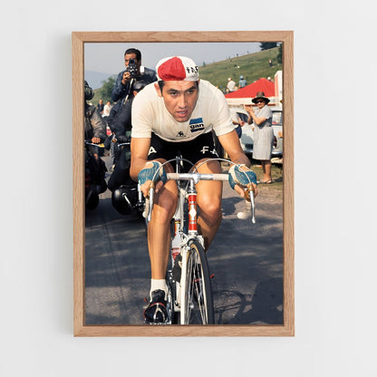 ap-eddy merckx-2 cadre Bois clair