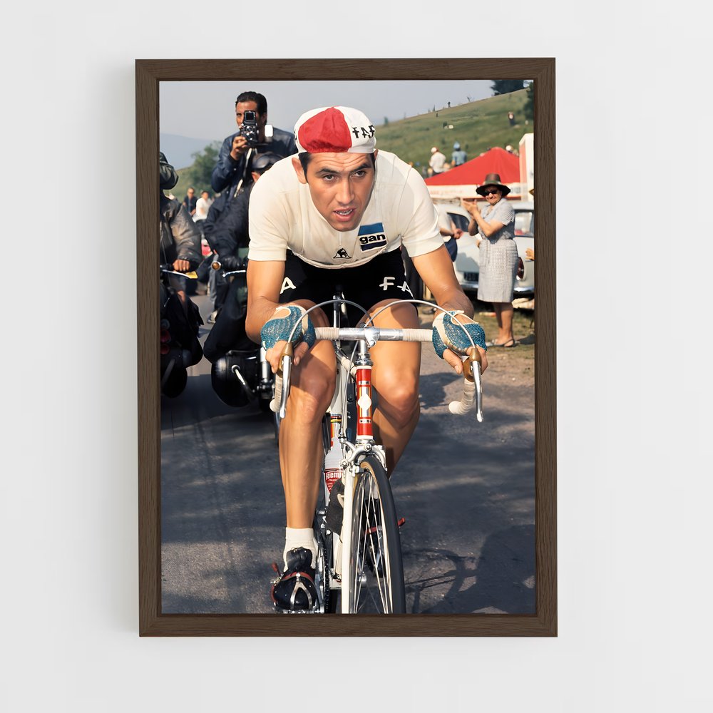 ap-eddy merckx-2 cadre Bois foncé