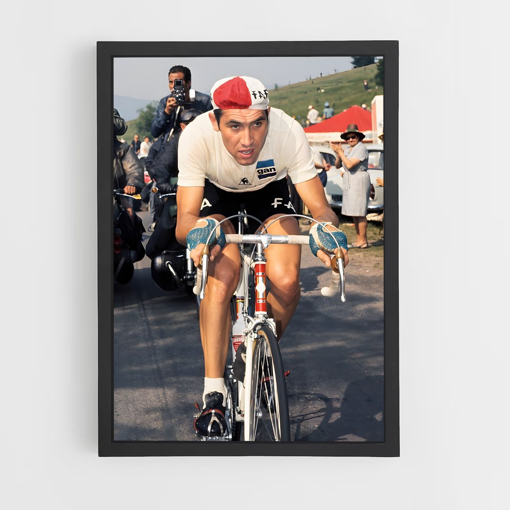 ap-eddy merckx-2 cadre Noir