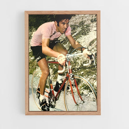ap-eddy merckx-3 cadre Bois clair