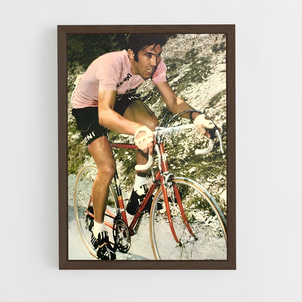 ap-eddy merckx-3 cadre Bois foncé