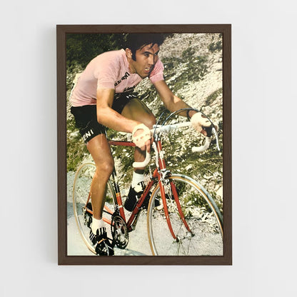 ap-eddy merckx-3 cadre Bois foncé