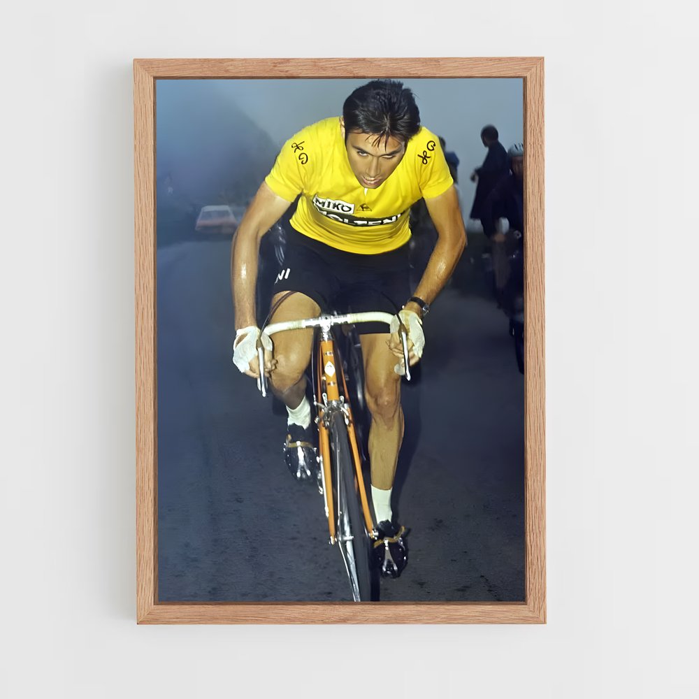 ap-eddy merckx-4 cadre Bois clair