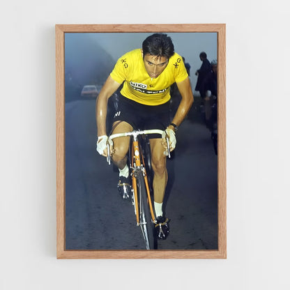 ap-eddy merckx-4 cadre Bois clair