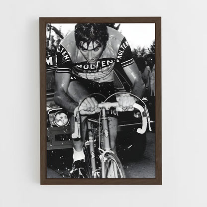 ap-eddy merckx-5 cadre Bois foncé