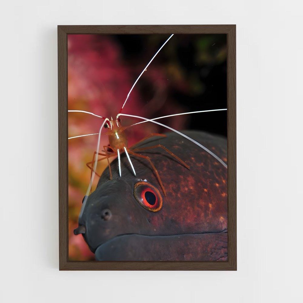 ap-eel-2 cadre Bois foncé