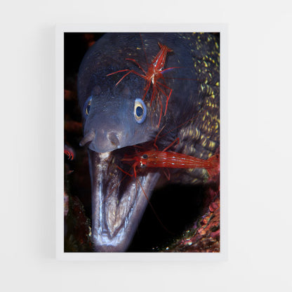 ap-eel-3 cadre Blanc