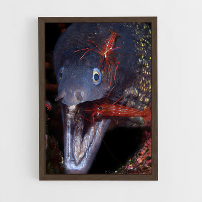 ap-eel-3 cadre Bois foncé