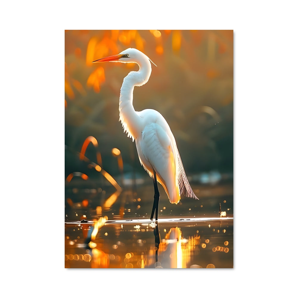 Poster Égretta Elegante