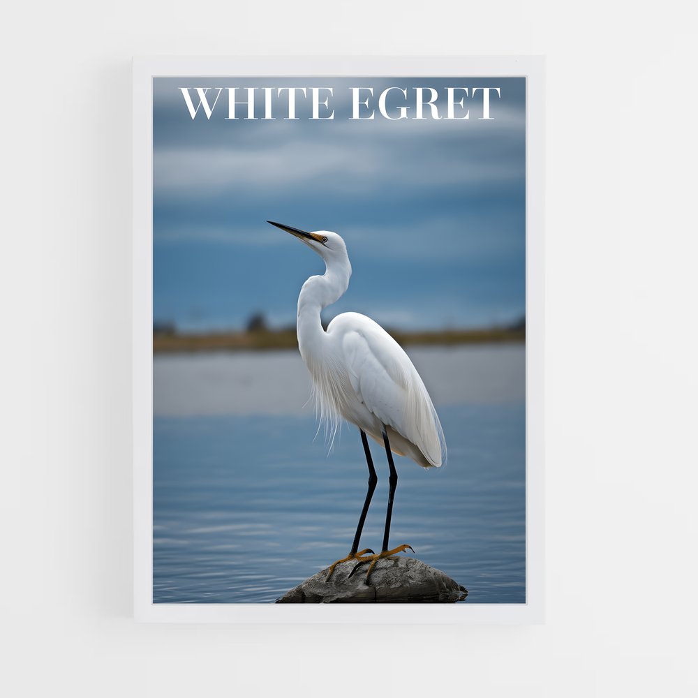 ap-egret-5 cadre Blanc