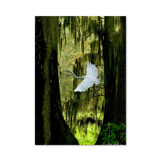 Poster L'Élan des Cieux