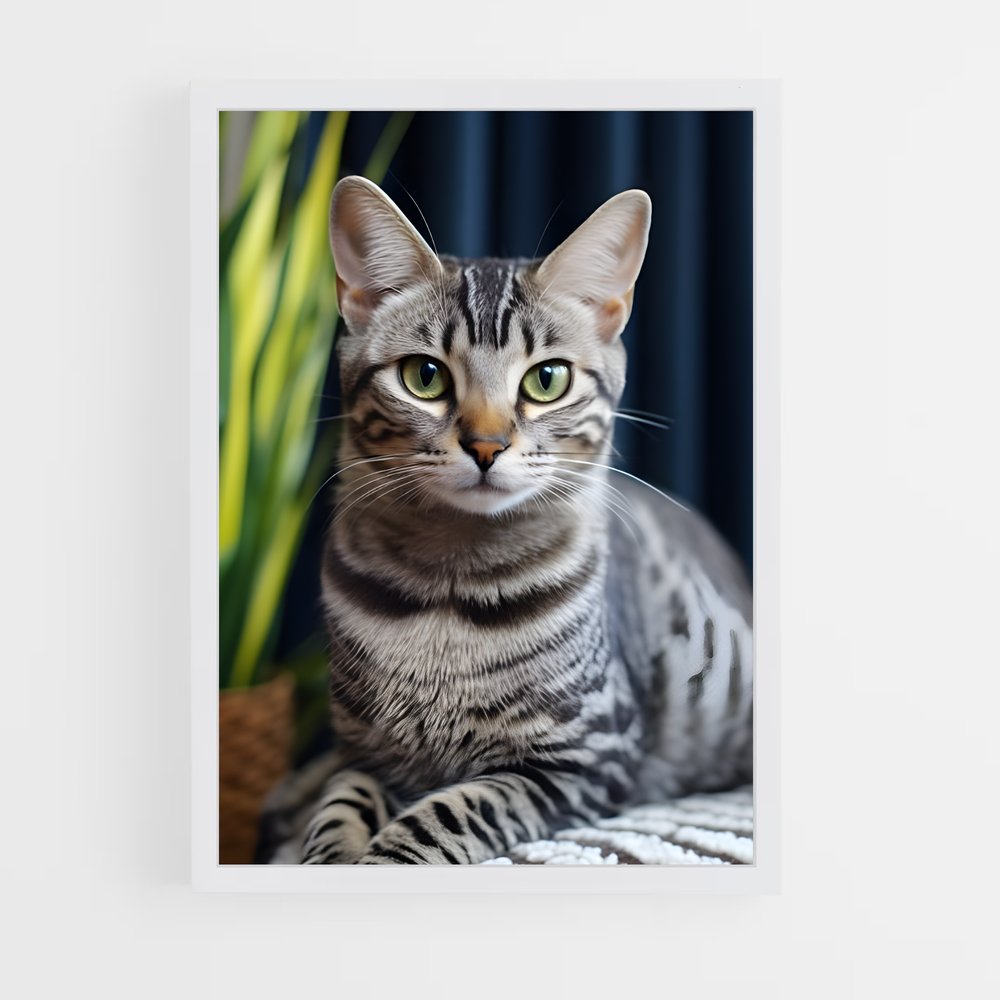 ap-egyptian mau-2 cadre Blanc