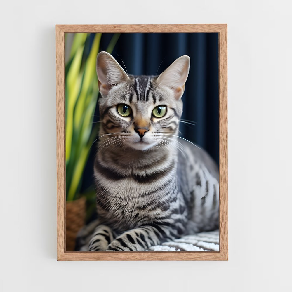 ap-egyptian mau-2 cadre Bois clair