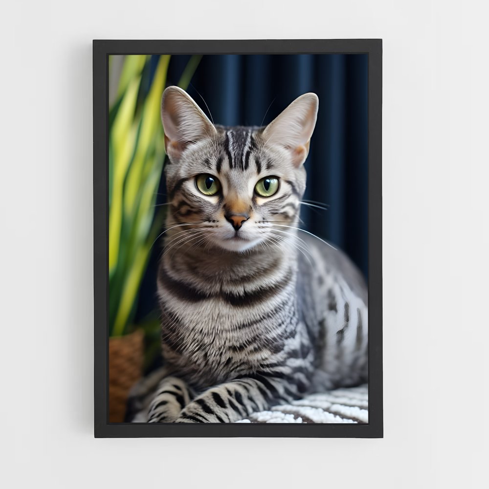 ap-egyptian mau-2 cadre Noir