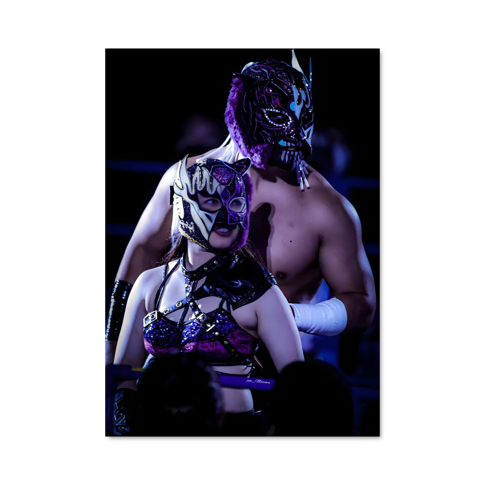 Poster El desperado 61254