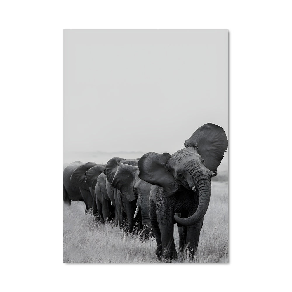 Poster Mosaïque d'Éléphants