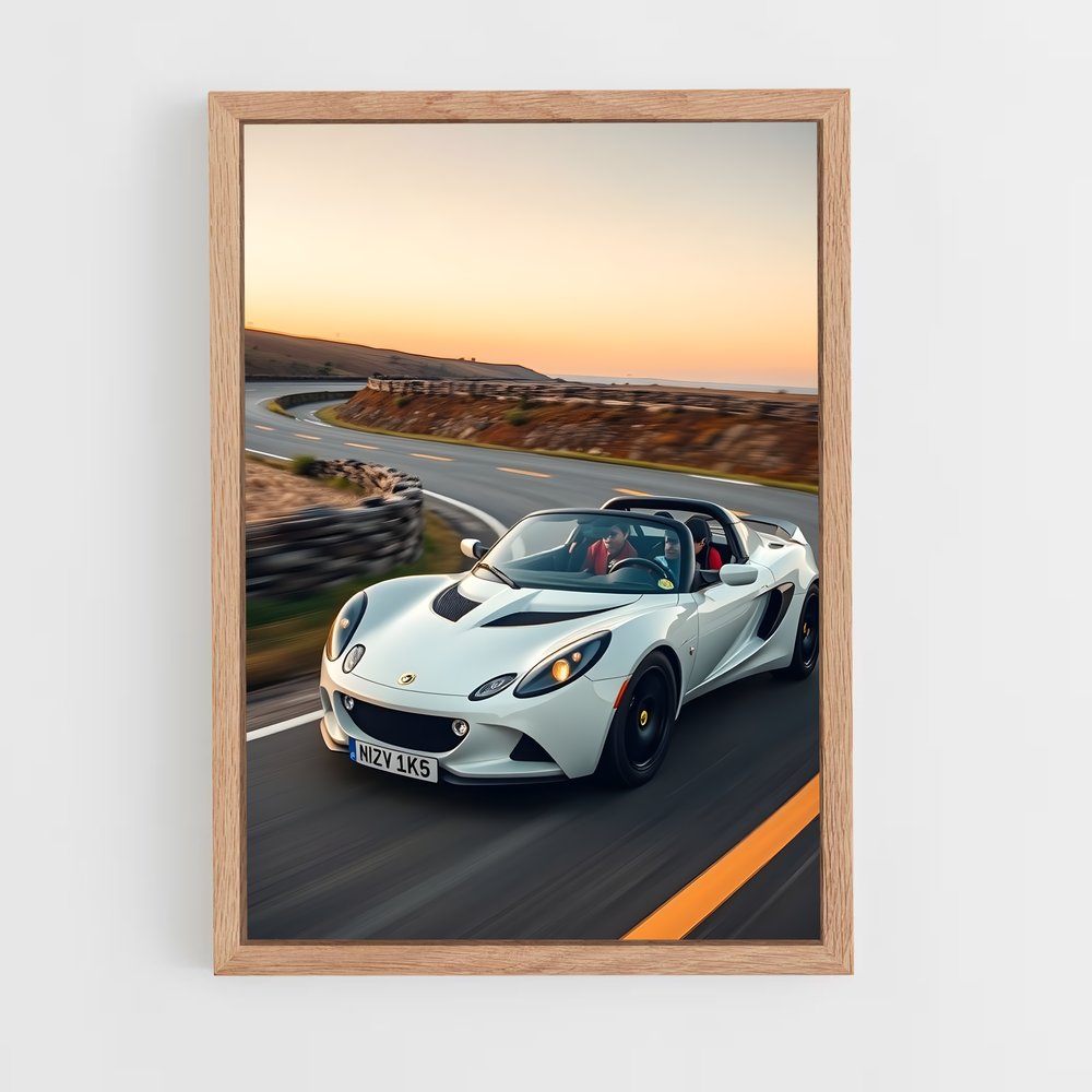 ap-elise sport-2 cadre Bois clair