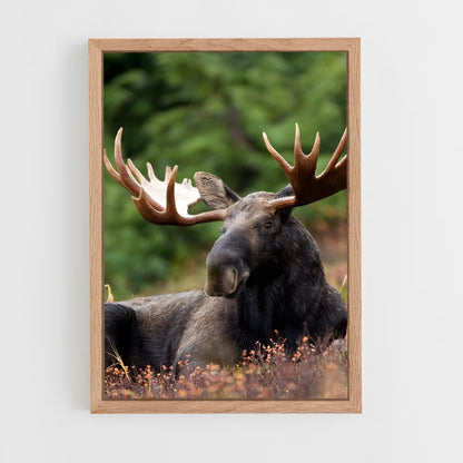ap-elk-10 cadre Bois clair