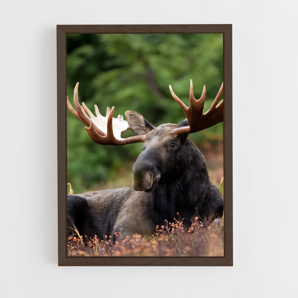 ap-elk-10 cadre Bois foncé
