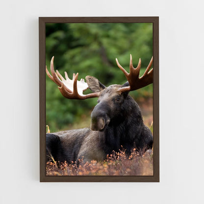 ap-elk-10 cadre Bois foncé