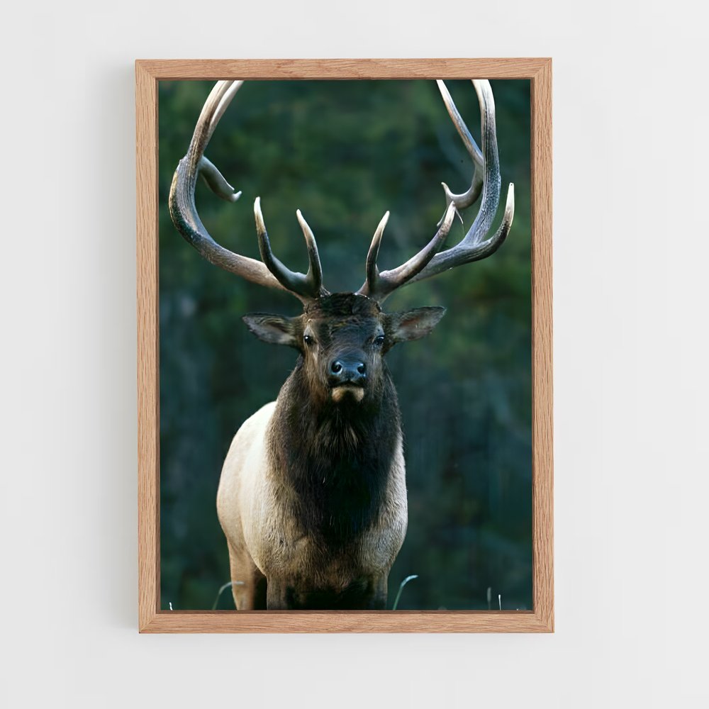 ap-elk-3 cadre Bois clair