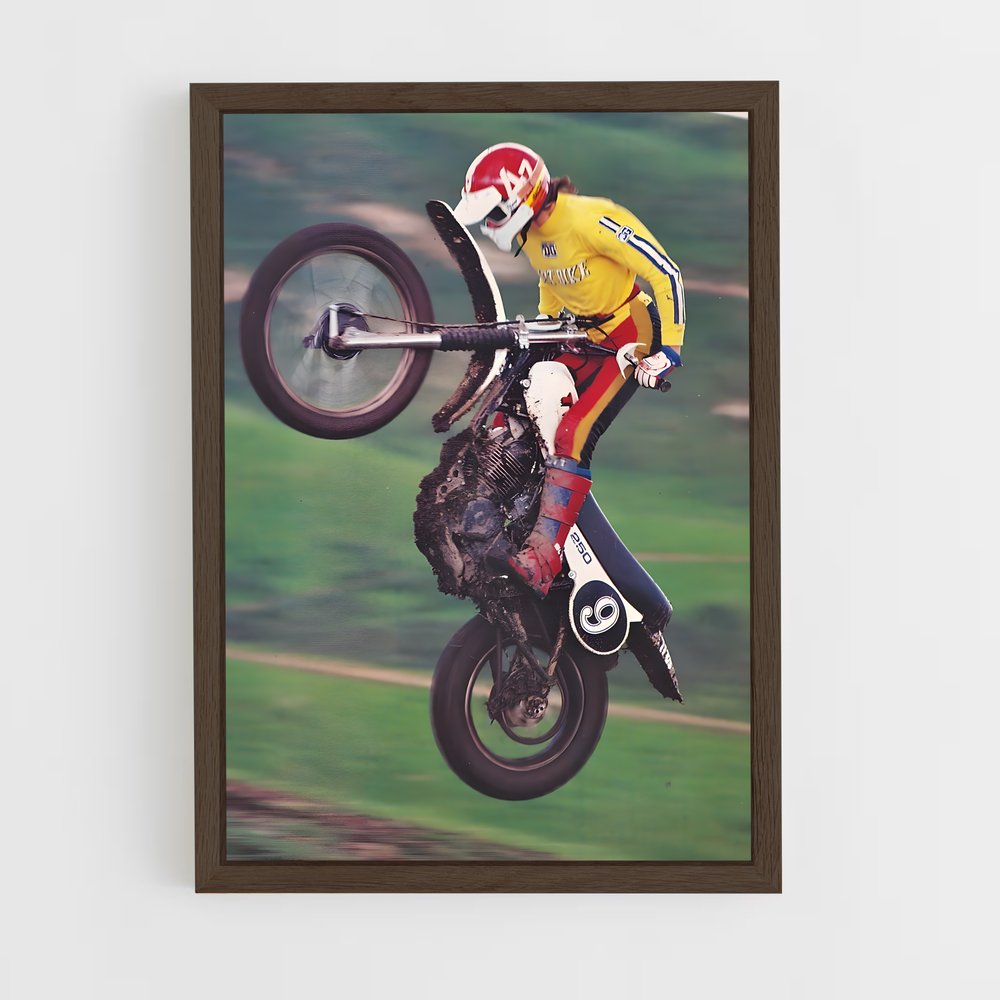ap-enduro 250-1 cadre Bois foncé