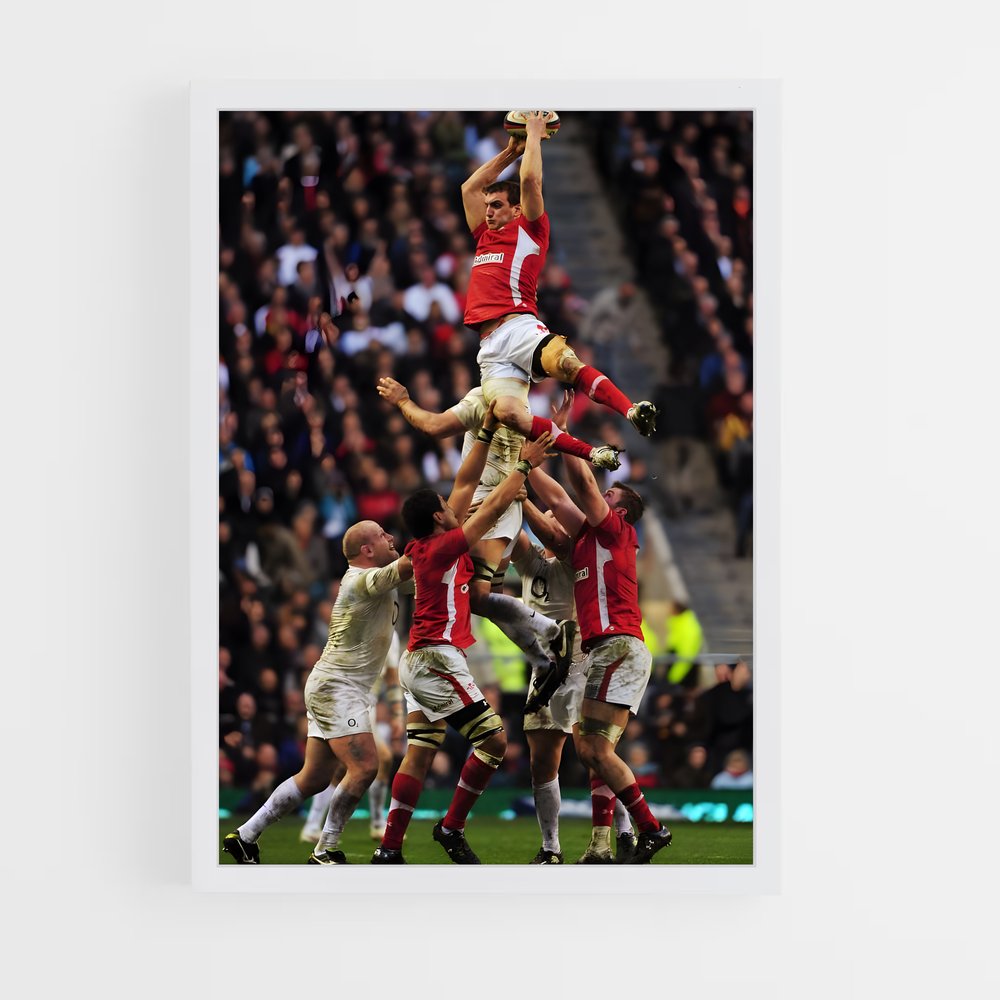 ap-england national rugby team-3 cadre Blanc