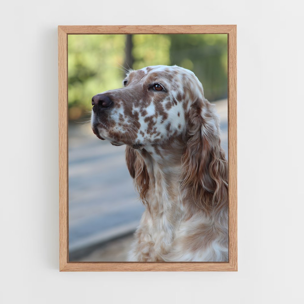 ap-english setter-2 cadre Bois clair