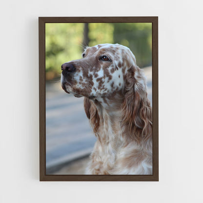 ap-english setter-2 cadre Bois foncé