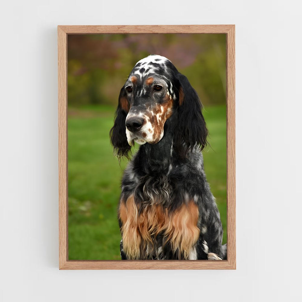 ap-english setter-3 cadre Bois clair