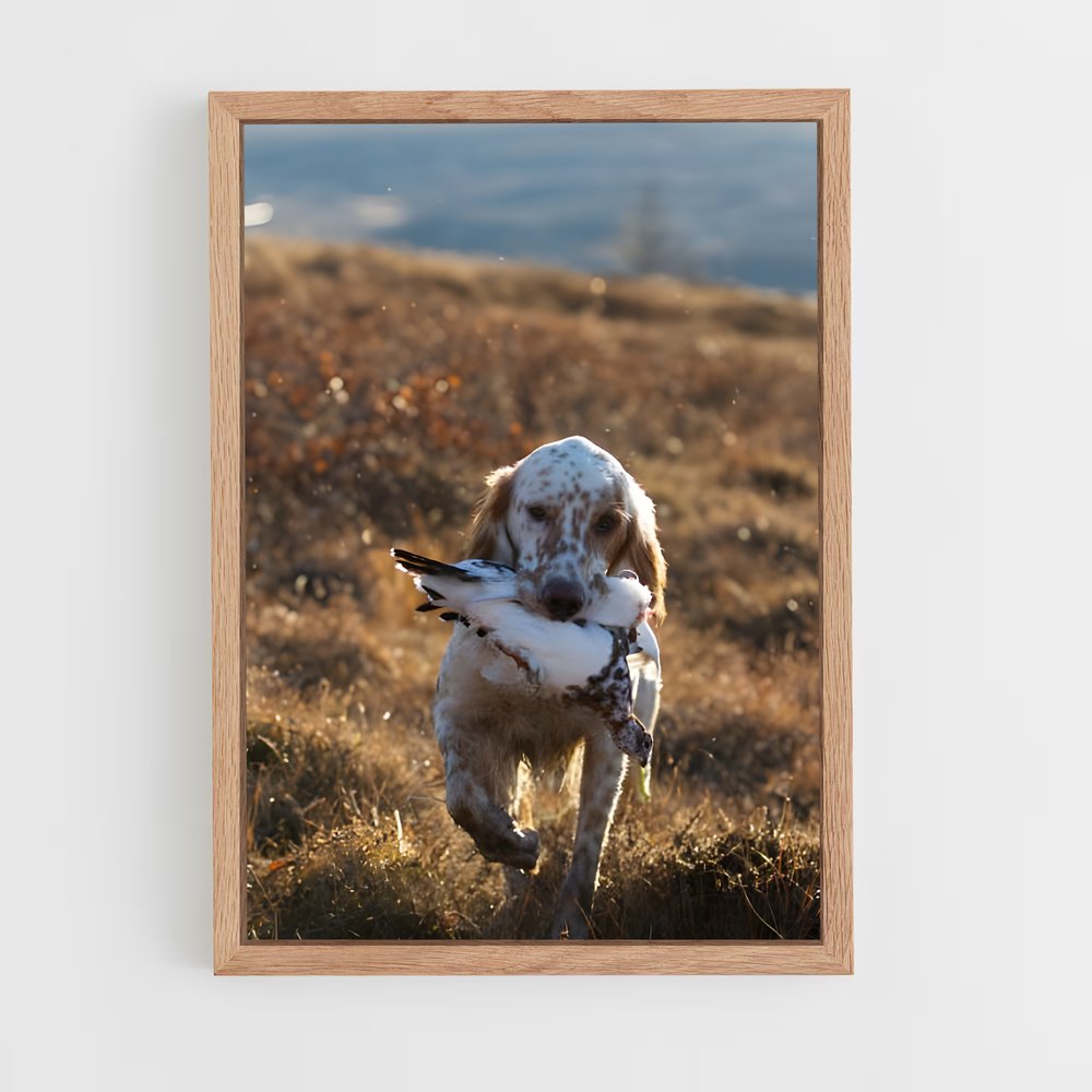 ap-english setter-4 cadre Bois clair