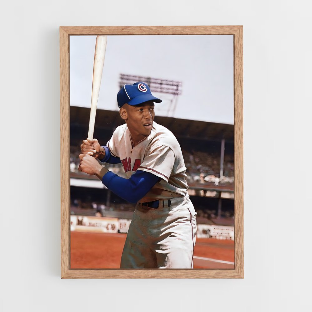 ap-ernie banks-2 cadre Bois clair