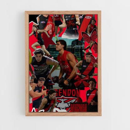 ap-essendon bombers-3 cadre Bois clair