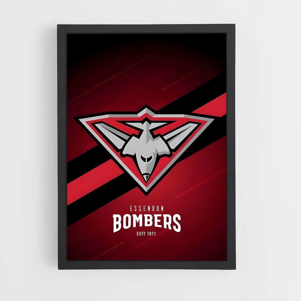 ap-essendon bombers-4 cadre Noir