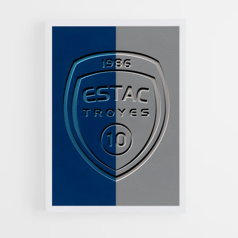 ap-estac troyes-3 cadre Blanc