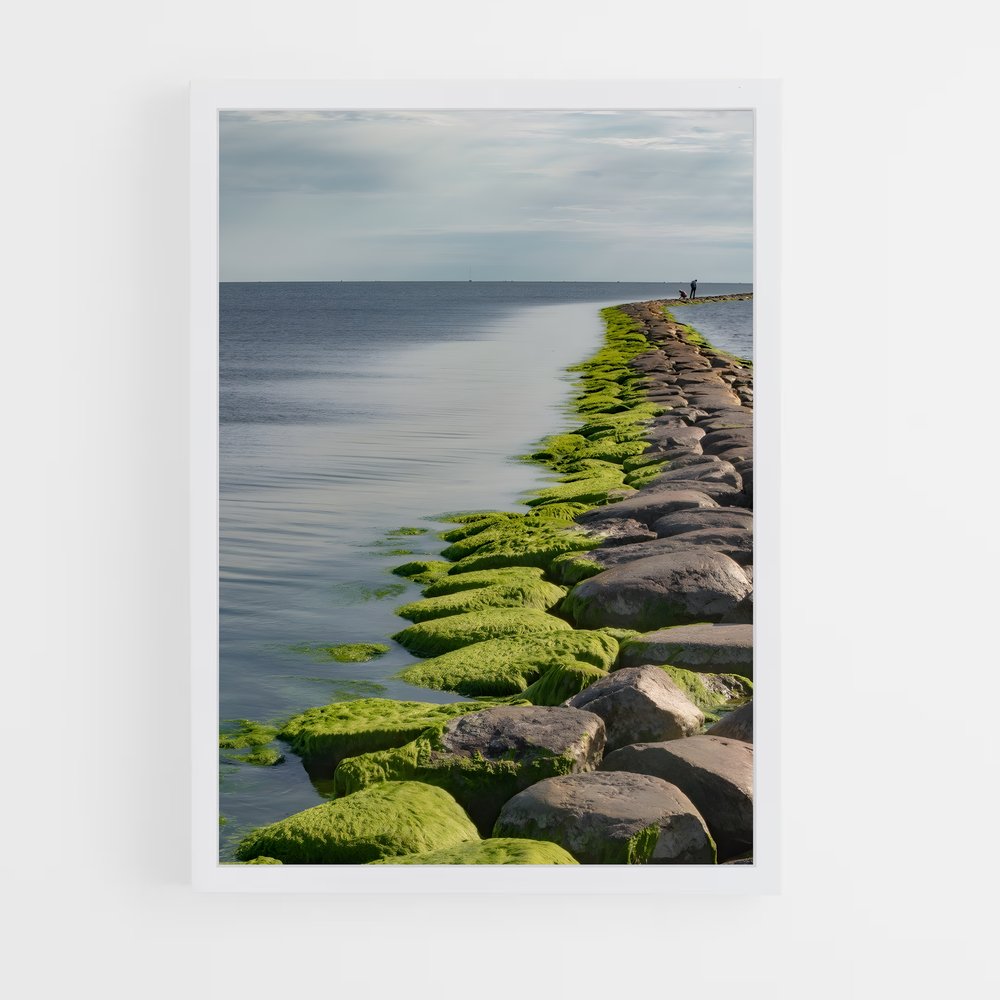 ap-estonia-9 cadre Blanc
