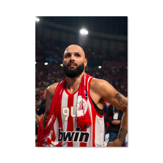 Poster Evan fournier 59327
