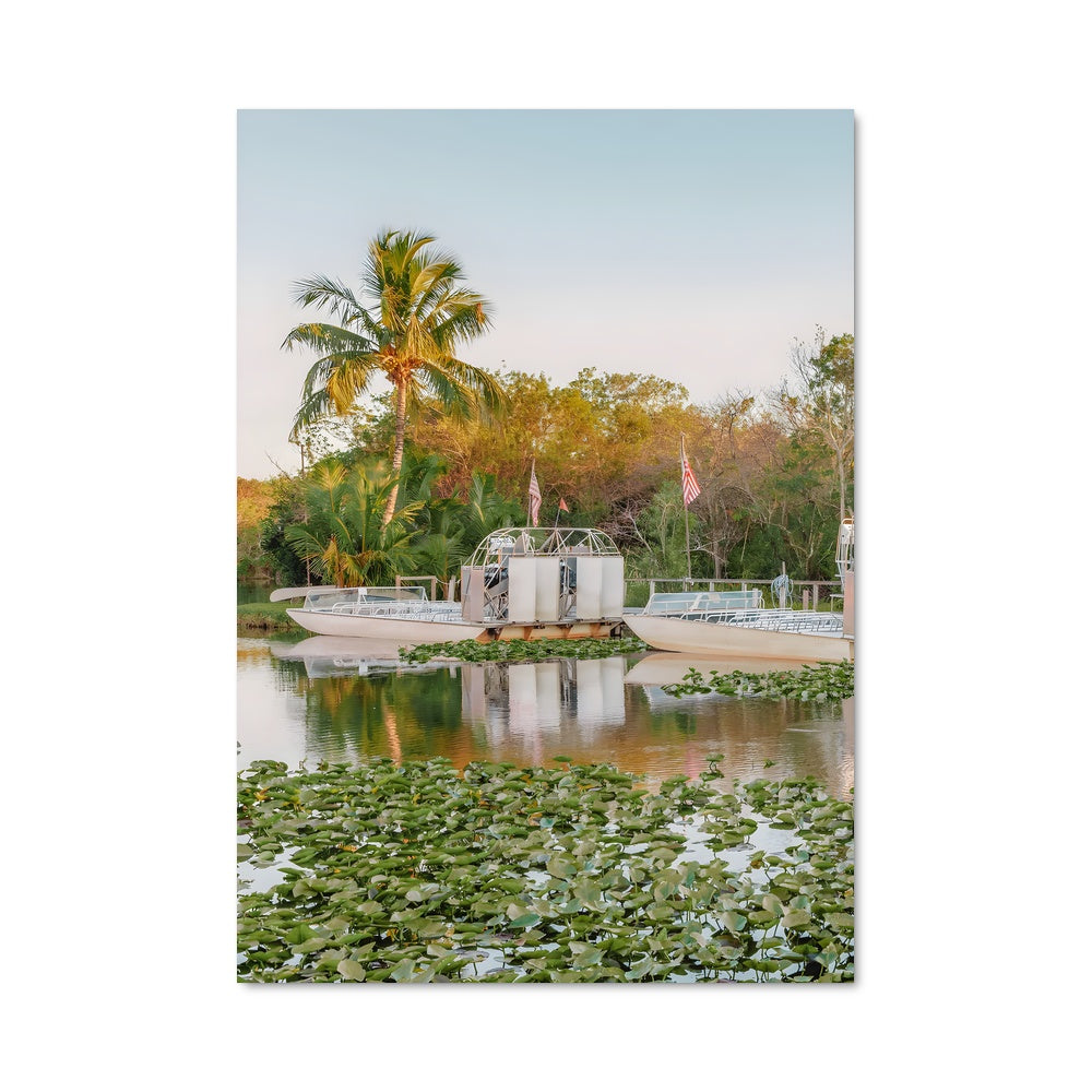 Poster Sérénité des Everglades