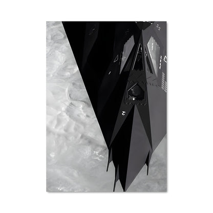 Poster Ombre du Nighthawk