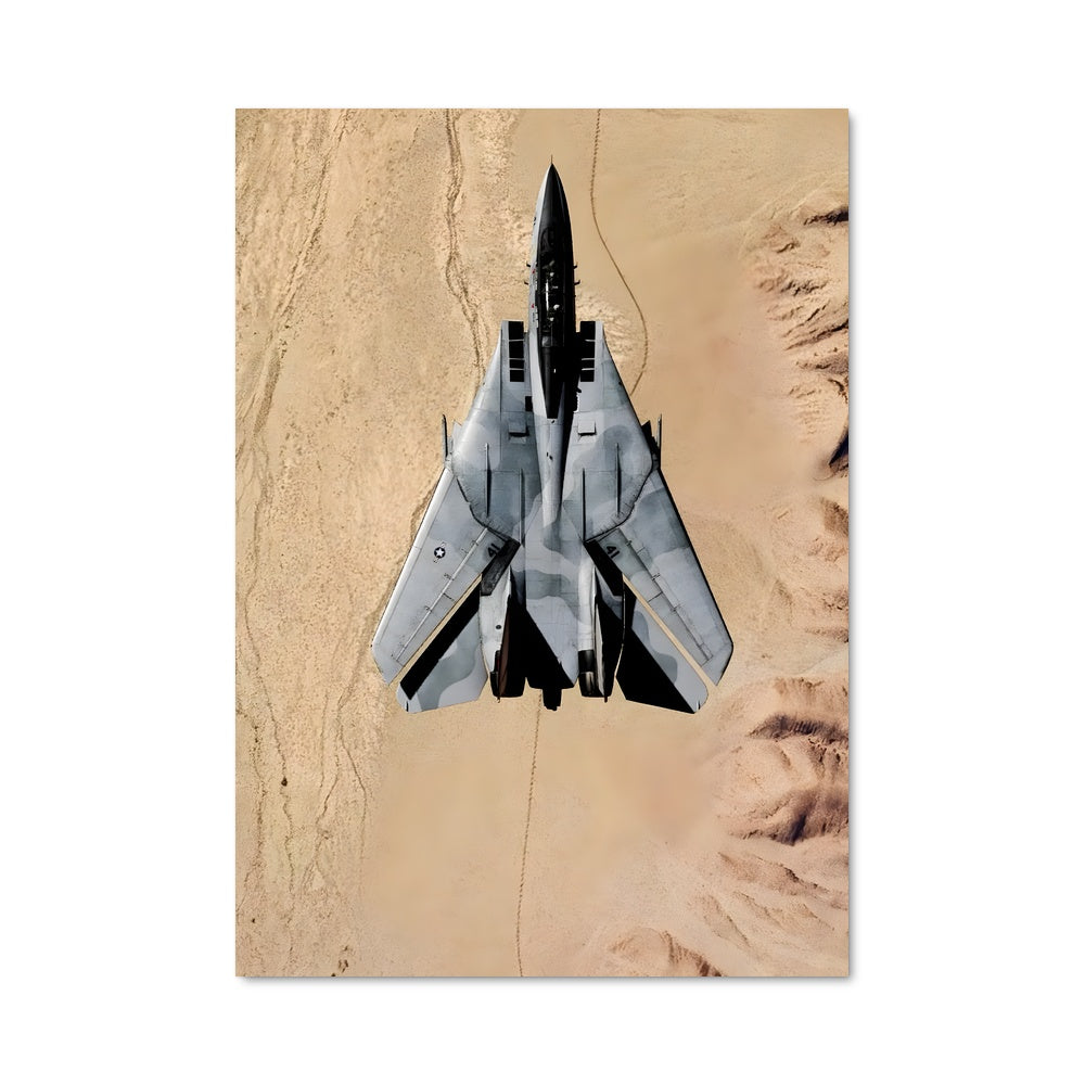 Poster Mirage F-14