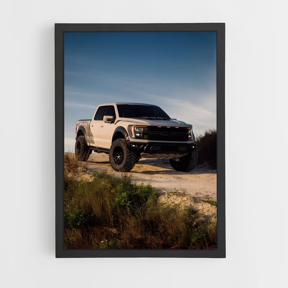 ap-f-150 raptor-3 cadre Noir