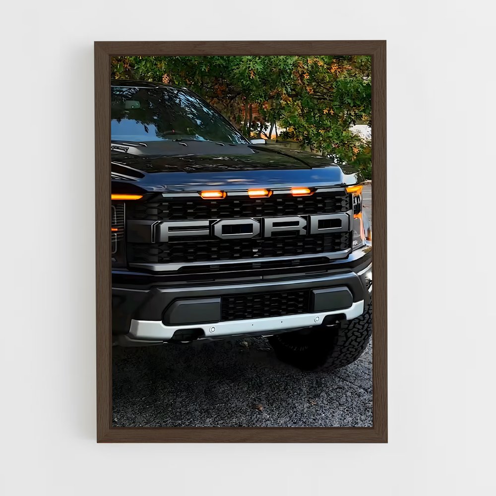 ap-f-150 raptor-5 cadre Bois foncé