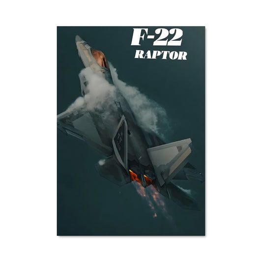 Poster Furtivité Aérienne