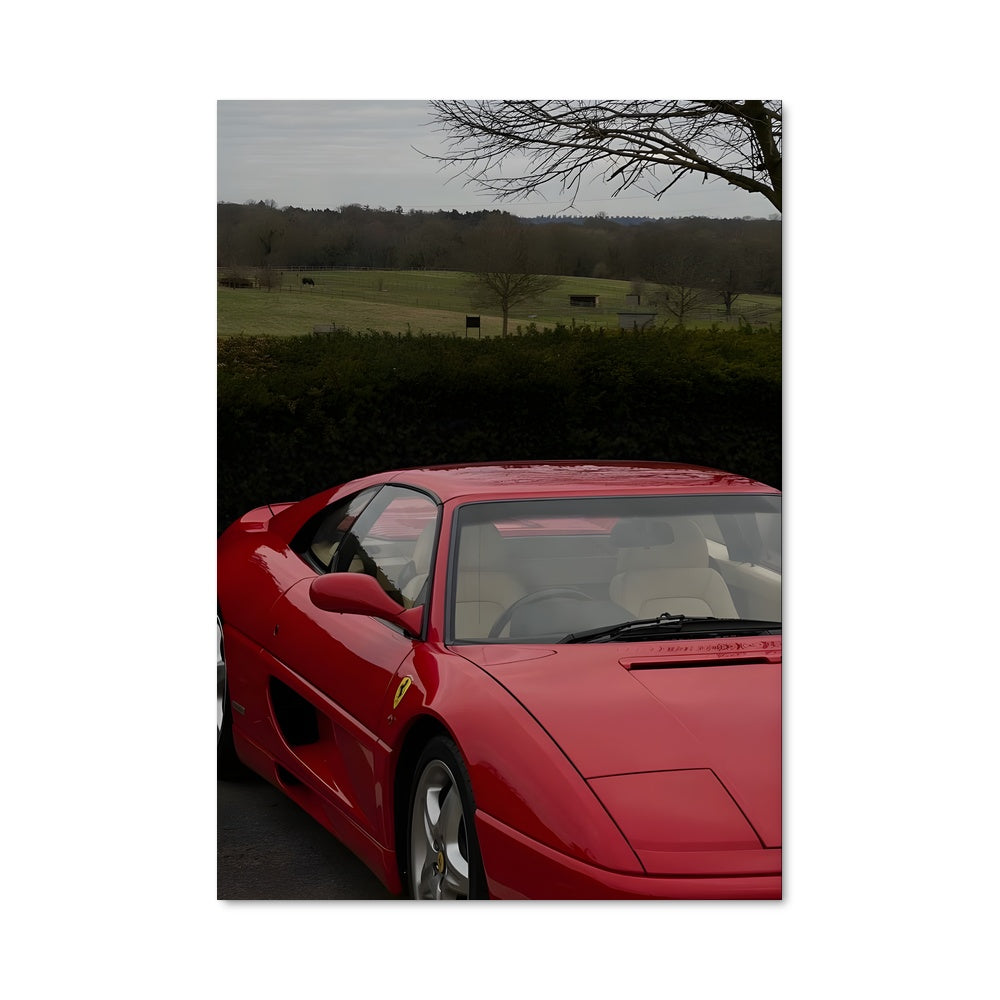 Poster F355 77133