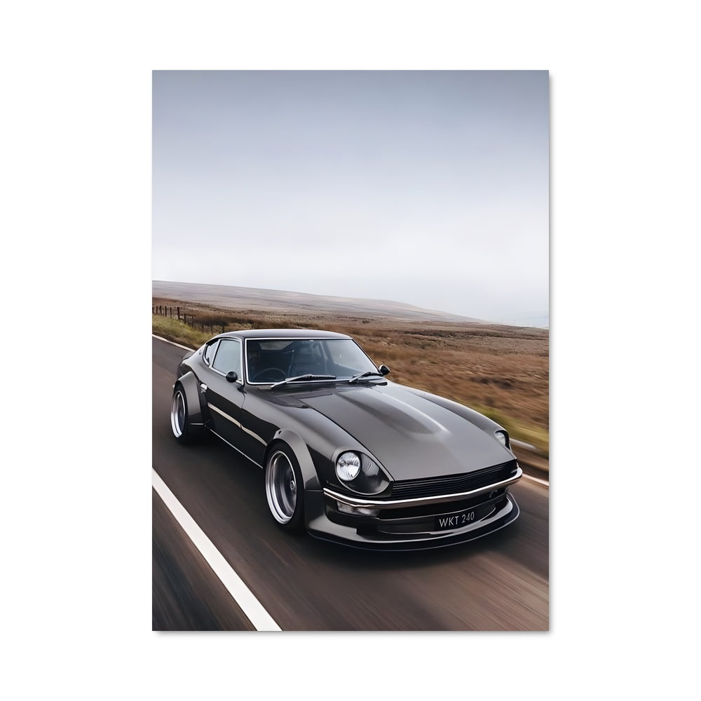 Poster Fairladyz 78912