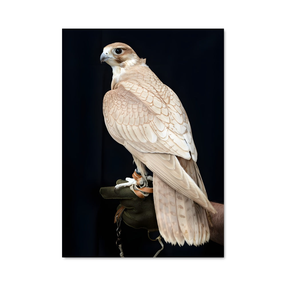 Poster Garde de la Nature