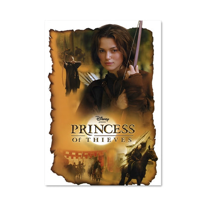 Poster La Princesse des Elfes