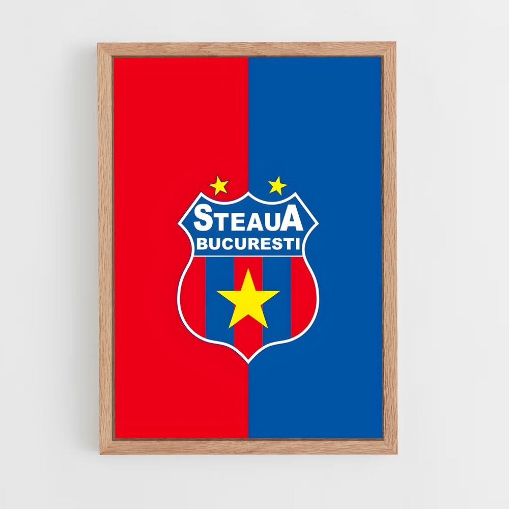ap-fcsb steaua bucharest-3 cadre Bois clair