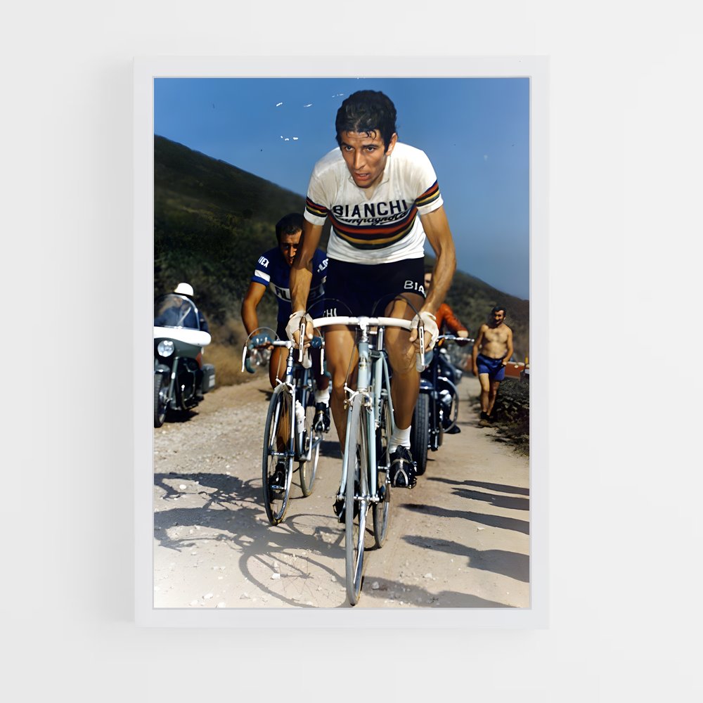 ap-felice gimondi-3 cadre Blanc