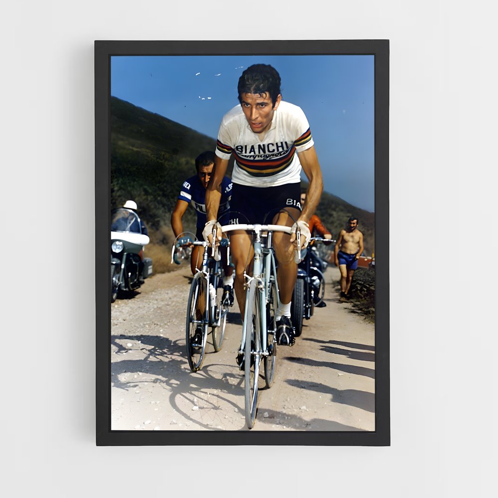 ap-felice gimondi-3 cadre Noir